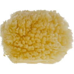 PARSA Beauty Baby Naturmeeresschwamm Mini