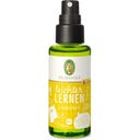 Primavera Leichter Lernen Raumspray KIDS bio - 50 ml
