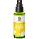 Primavera Leichter Lernen Raumspray KIDS bio - 50 ml