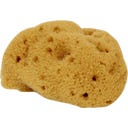 Cose della Natura Seidenschwamm - Klein, 5-6 g