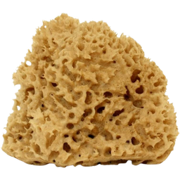 Cose della Natura Honeycomb-Naturschwamm - Groß, 12-14 g