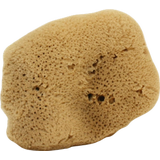 Cose della Natura Seidenschwamm