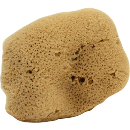 Cose della Natura Seidenschwamm - Groß, 12-14 g