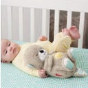 Fisher-Price Schlummer-Otter - 1 Stk