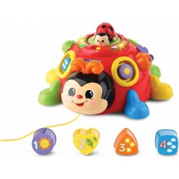VTech Baby - Fröhlicher Lernkäfer - 1 Stk